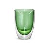 Vaso Doble Vidrio  Verde 350 Ml Tendencia Big Buda Home Verde
